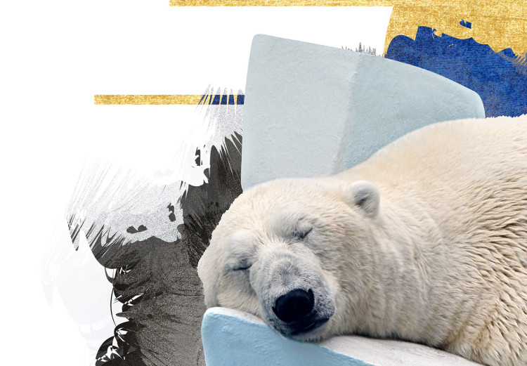 Poster Polar Bear - sleeping winter animal amidst ice on white background 123992 additionalImage 6