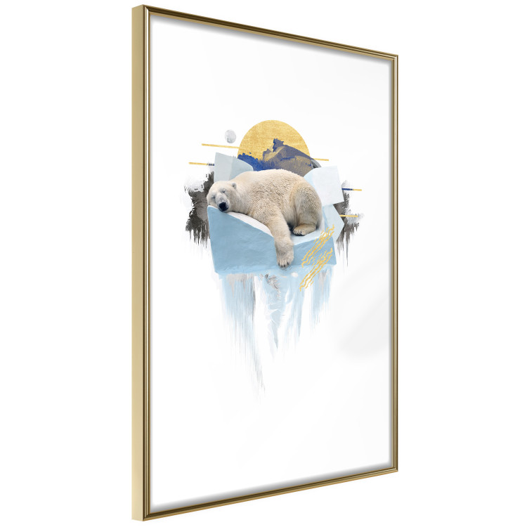 Poster Polar Bear - sleeping winter animal amidst ice on white background 123992 additionalImage 5