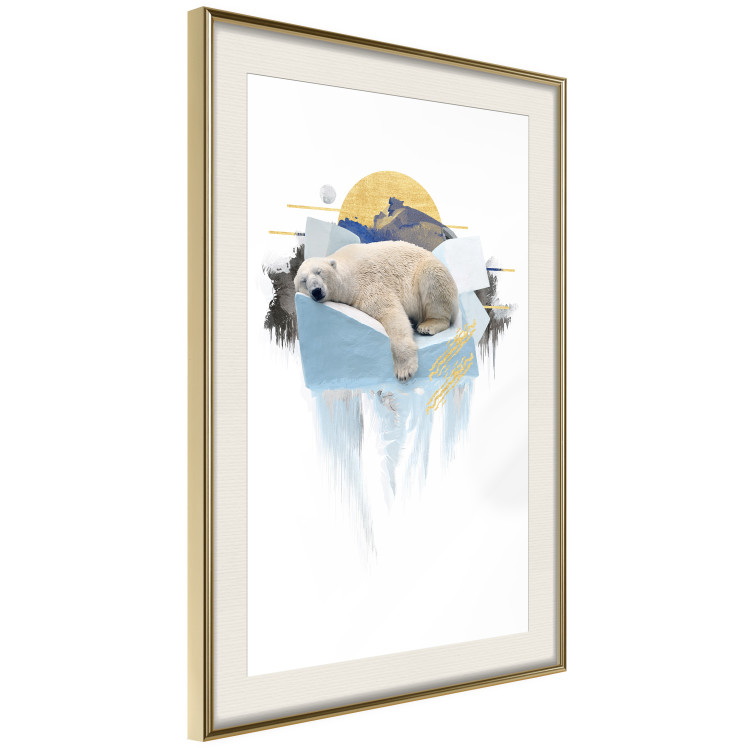 Poster Polar Bear - sleeping winter animal amidst ice on white background 123992 additionalImage 14