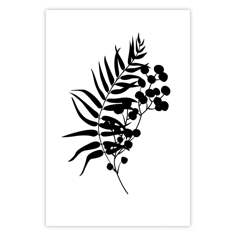 Poster Form of Nature - black plant with leaves on a contrasting white background 125092