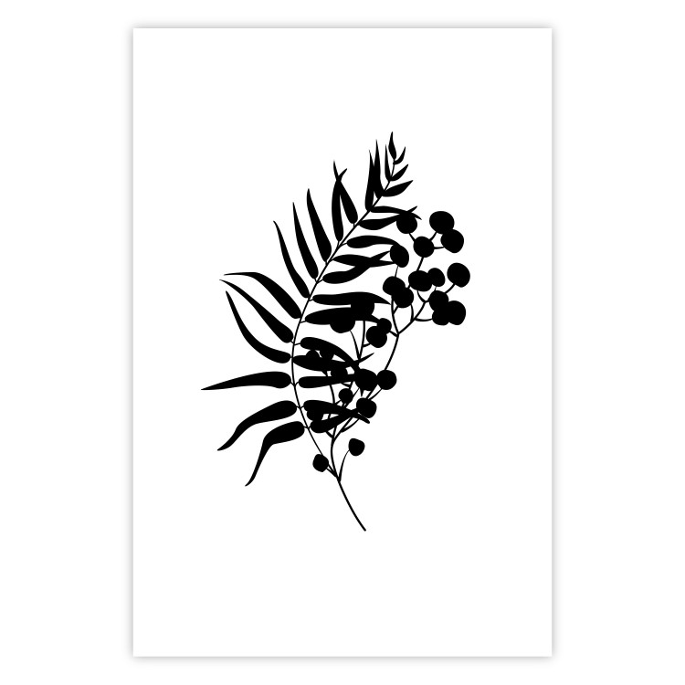 Poster Form of Nature - black plant with leaves on a contrasting white background 125092 additionalImage 25