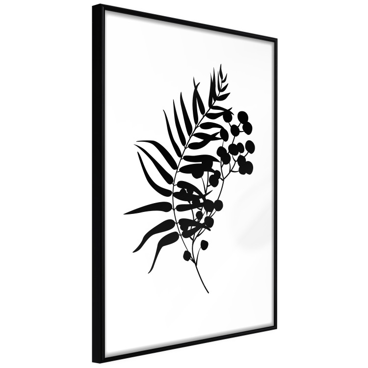 Poster Form of Nature - black plant with leaves on a contrasting white background 125092 additionalImage 10