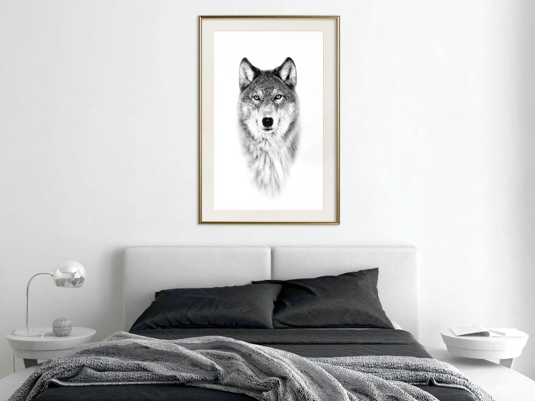 Poster Snowy Wolf - black and white portrait of a wolf on a bright contrasting background 126292 additionalImage 22