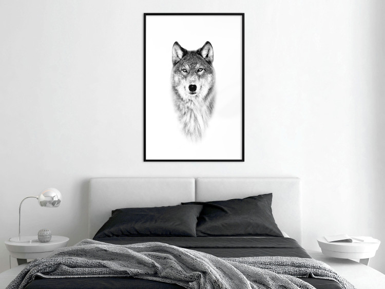Poster Snowy Wolf - black and white portrait of a wolf on a bright contrasting background 126292 additionalImage 23