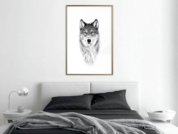 Poster Snowy Wolf - black and white portrait of a wolf on a bright contrasting background 126292 additionalImage 13