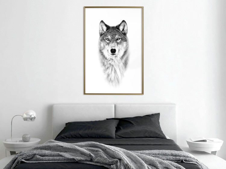 Poster Snowy Wolf - black and white portrait of a wolf on a bright contrasting background 126292 additionalImage 7