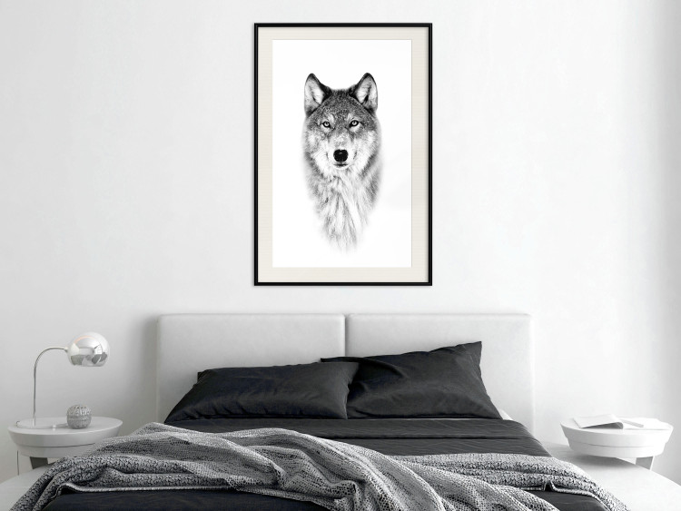 Poster Snowy Wolf - black and white portrait of a wolf on a bright contrasting background 126292 additionalImage 24