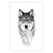 Poster Snowy Wolf - black and white portrait of a wolf on a bright contrasting background 126292