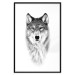 Poster Snowy Wolf - black and white portrait of a wolf on a bright contrasting background 126292 additionalThumb 16