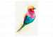 Paint by Number Kit Exotic Bird 127992 additionalThumb 7