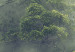 Canvas Art Print Misty Amazon (3-part) - landscape of an exotic rainforest 129392 additionalThumb 4