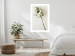 Wall Poster Dried Memory - plant with white flower on a uniform background 130292 additionalThumb 5