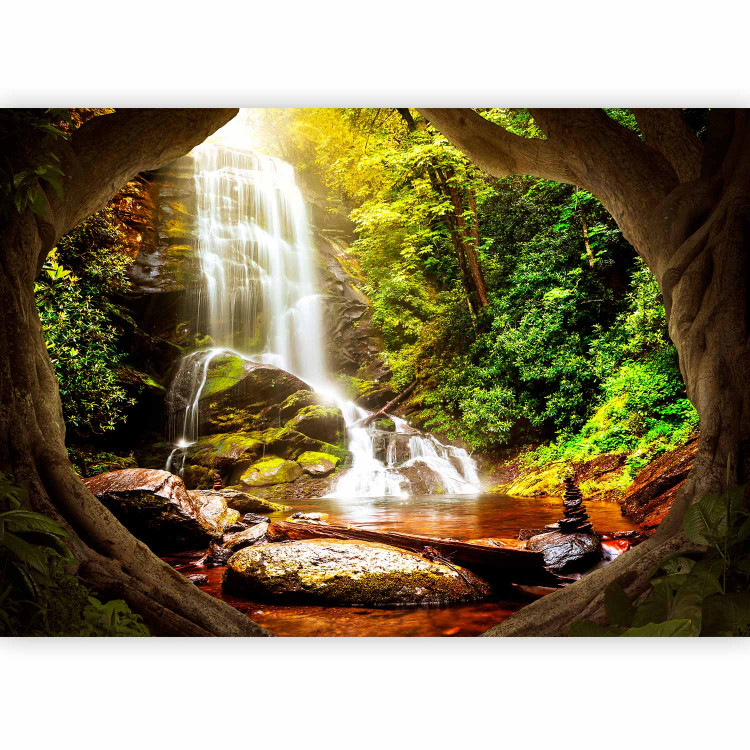 Wall Mural Forest Refuse 131692 additionalImage 1