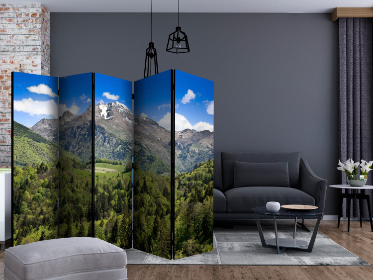 Room Divider Screen Holiday in the Mountains II - green forest against rocky mountain and sky 133992 additionalImage 4