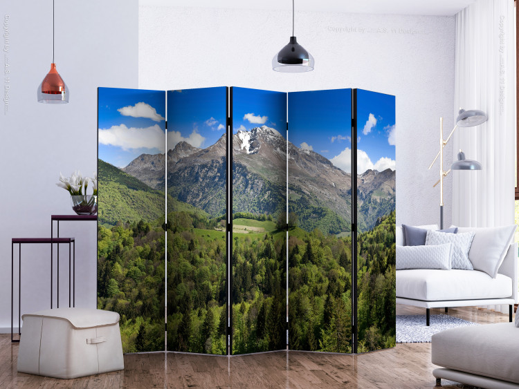 Room Divider Screen Holiday in the Mountains II - green forest against rocky mountain and sky 133992 additionalImage 2