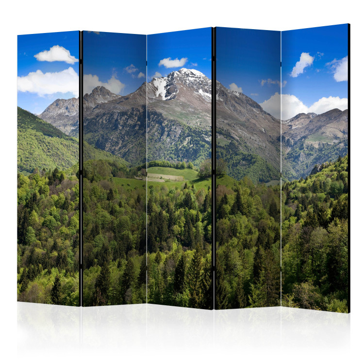 Room Divider Screen Holiday in the Mountains II - green forest against rocky mountain and sky 133992