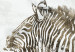 Canvas In Love Zebras (1-piece) Wide - animals on a smoky background 134392 additionalThumb 5