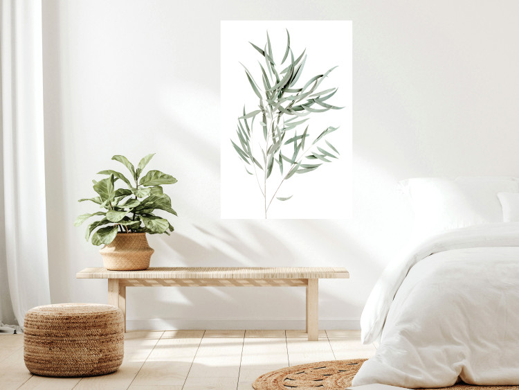 Poster Eucalyptus Nicholii - minimalist composition with green leaves 137492 additionalImage 18