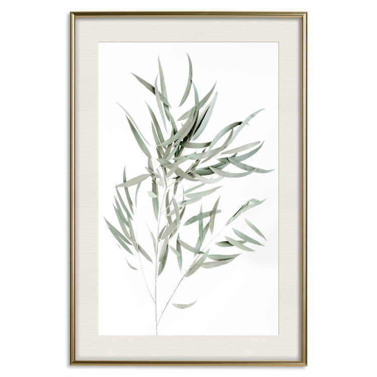 Poster Eucalyptus Nicholii - minimalist composition with green leaves 137492 additionalImage 2