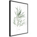 Poster Eucalyptus Nicholii - minimalist composition with green leaves 137492 additionalThumb 22