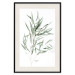 Poster Eucalyptus Nicholii - minimalist composition with green leaves 137492 additionalThumb 3