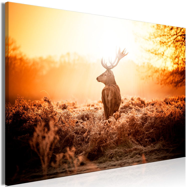 Large canvas print Deer in the Sun [Large Format] 137592 additionalImage 2