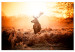 Large canvas print Deer in the Sun [Large Format] 137592