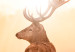 Large canvas print Deer in the Sun [Large Format] 137592 additionalThumb 4