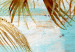 Canvas Palms in Gold (1-piece) - warm landscape with palm trees and boards in the background 142692 additionalThumb 4