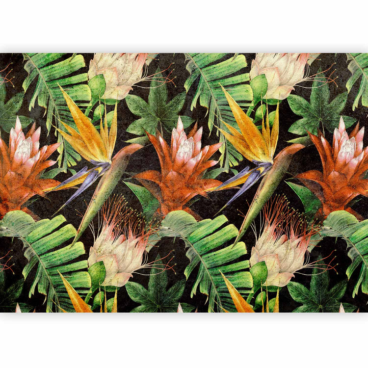 Wall Mural Colourful jungle - landscape with tropical plants motif on black background 143192 additionalImage 1