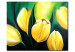 Canvas Art Print Sunny tulips - a floral motif full of large, yellow flowers 48692