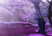 Canvas Art Print Lavender orchard 50092 additionalThumb 4