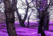 Canvas Art Print Lavender orchard 50092 additionalThumb 5