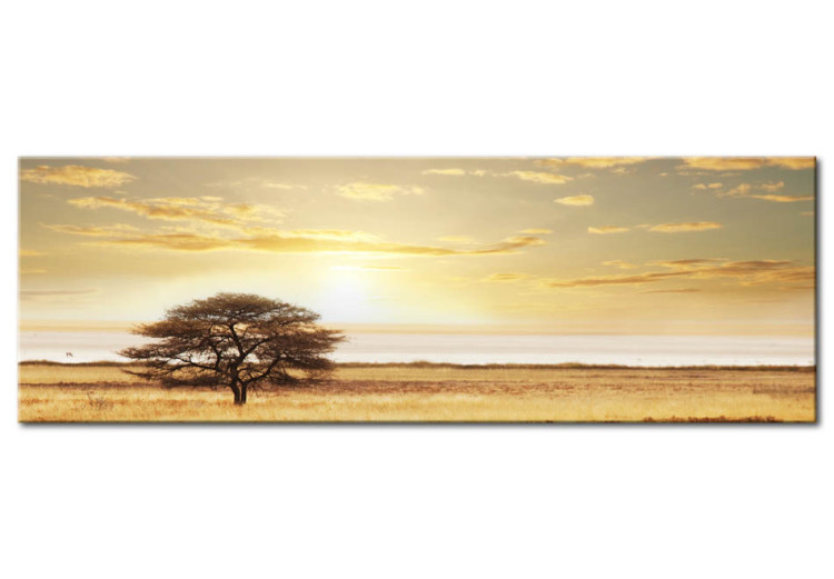 Canvas Art Print Lonely tree on savannah 50592