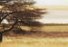 Canvas Art Print Lonely tree on savannah 50592 additionalThumb 3