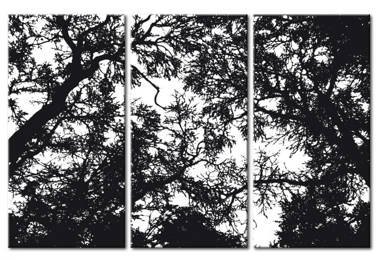 Canvas Look up - black and white tree branches with the sky in the background 56092