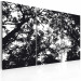 Canvas Look up - black and white tree branches with the sky in the background 56092 additionalThumb 2