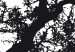 Canvas Look up - black and white tree branches with the sky in the background 56092 additionalThumb 5