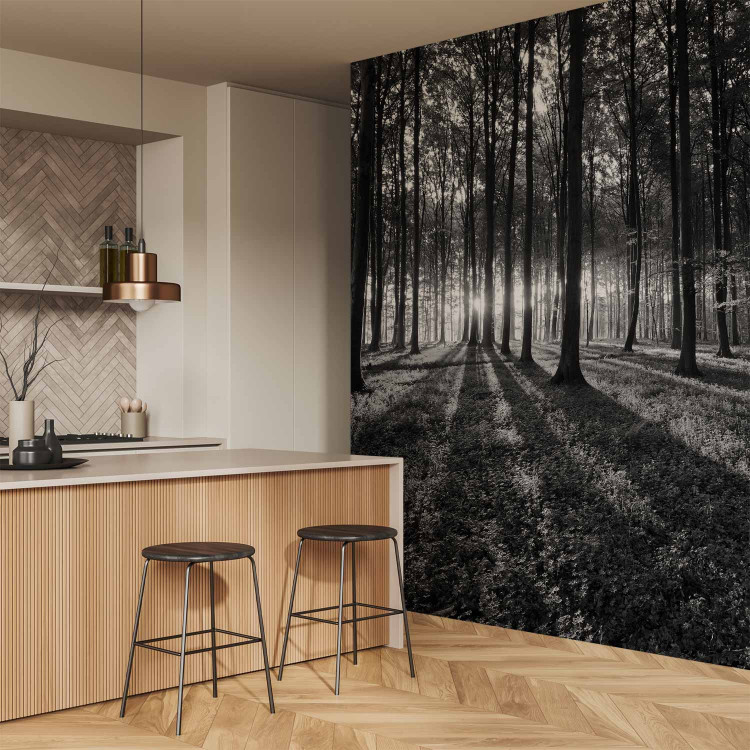 Wall Mural The Light in the Forest 61892 additionalImage 7