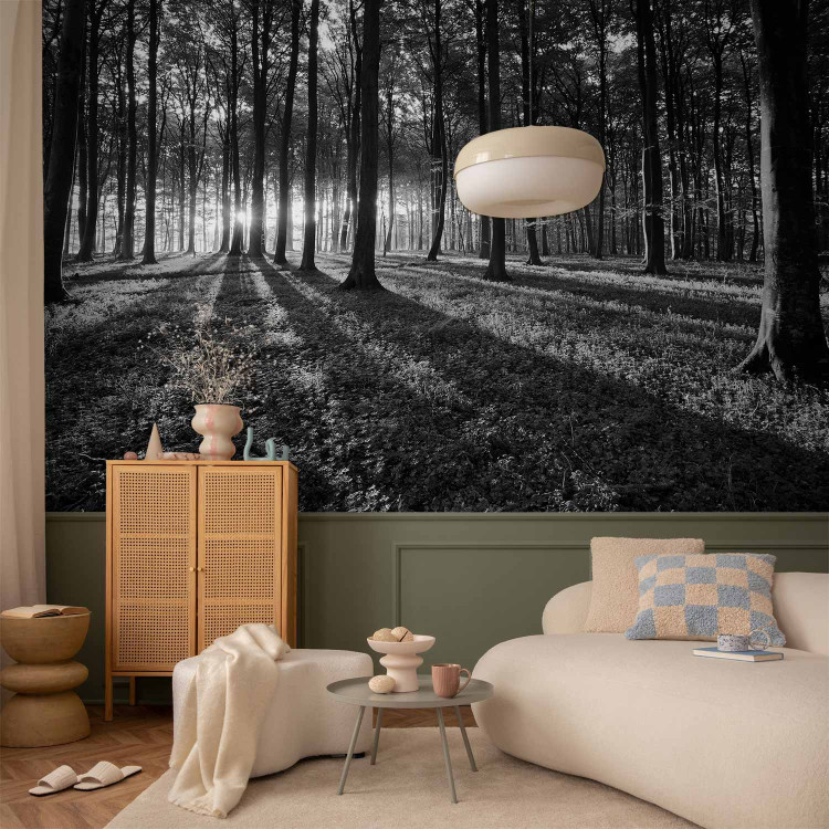 Wall Mural The Light in the Forest 61892