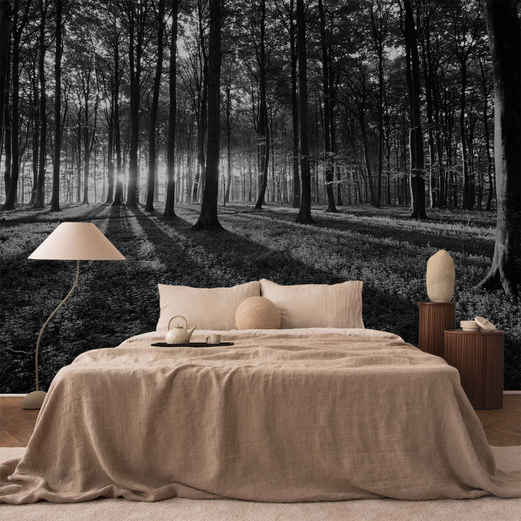 Wall Mural The Light in the Forest 61892 additionalImage 2