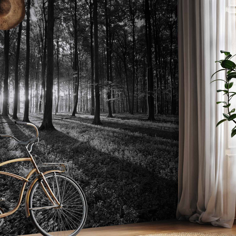 Wall Mural The Light in the Forest 61892 additionalImage 4