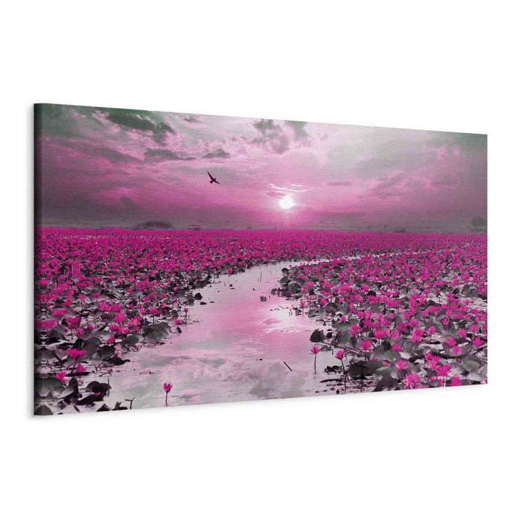 Canvas Art Print Lilies and Sunset (1-part) Narrow - Landscape of Purple Plants 107303 additionalImage 2