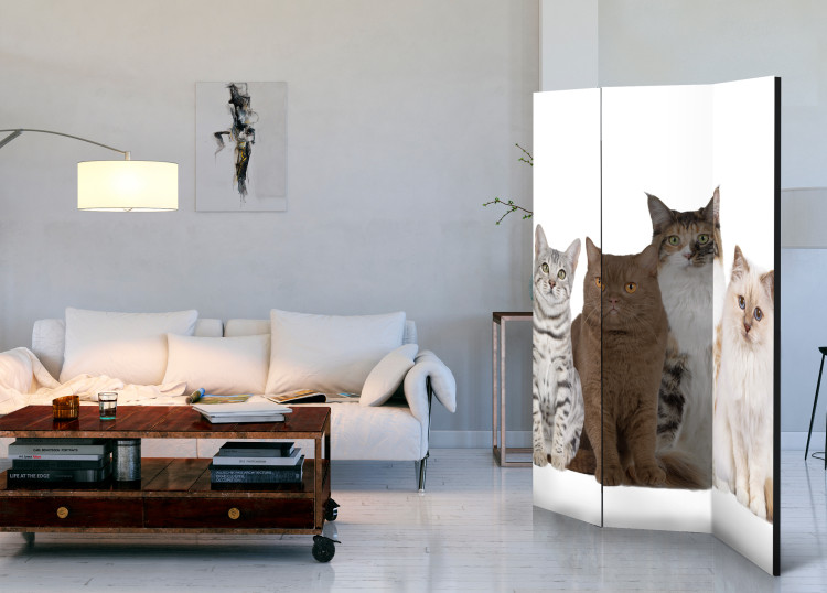 Room Divider Sweet Kittens - white and beige animals on a solid white background 107603 additionalImage 4