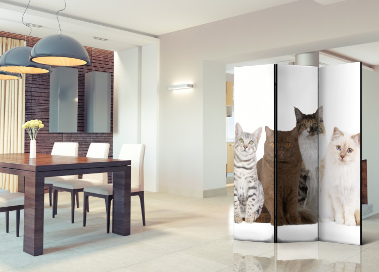 Room Divider Sweet Kittens - white and beige animals on a solid white background 107603 additionalImage 2