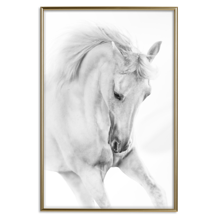 Wall Poster White Horse - black and white sketched portrait of a majestic animal 116503 additionalImage 16