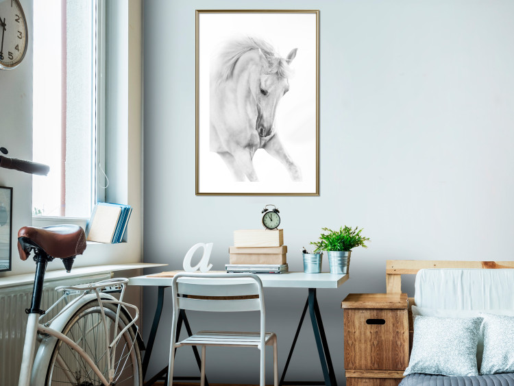 Wall Poster White Horse - black and white sketched portrait of a majestic animal 116503 additionalImage 13