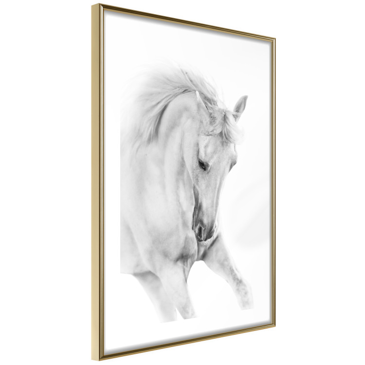 Wall Poster White Horse - black and white sketched portrait of a majestic animal 116503 additionalImage 6