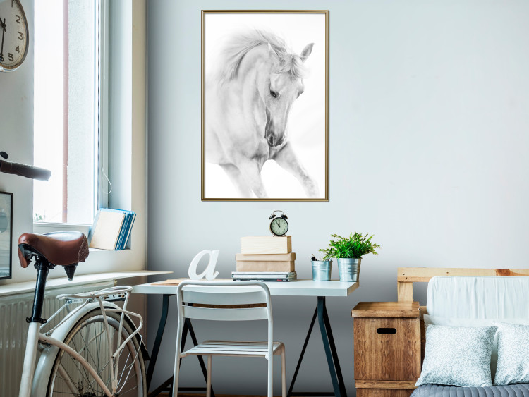 Wall Poster White Horse - black and white sketched portrait of a majestic animal 116503 additionalImage 5