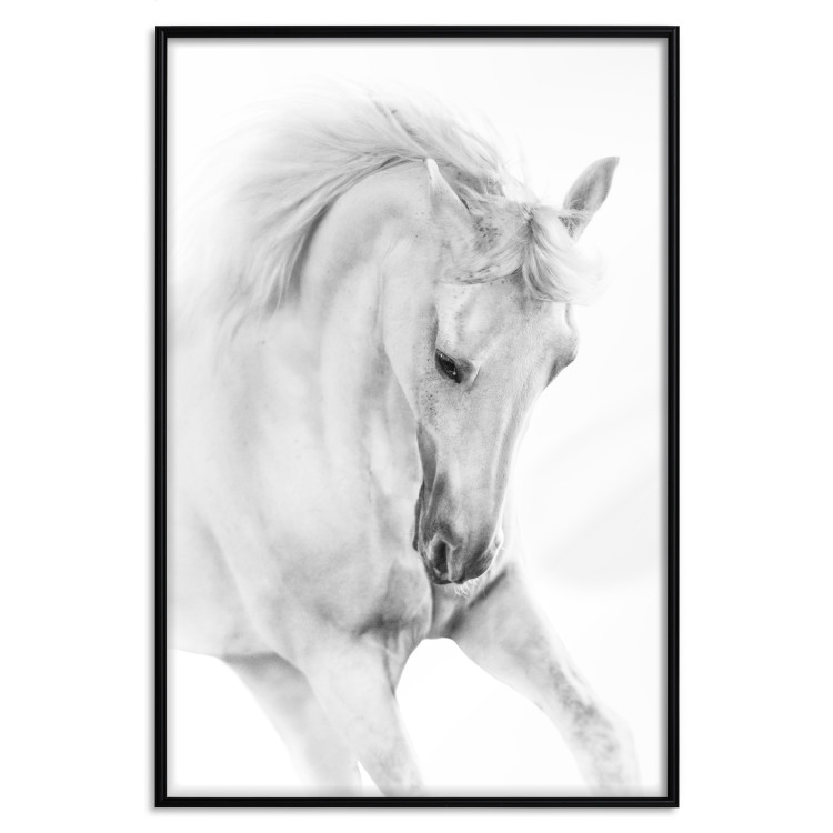 Wall Poster White Horse - black and white sketched portrait of a majestic animal 116503 additionalImage 18